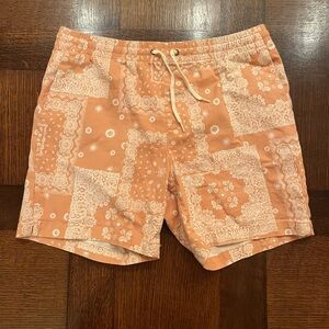 Men's Pacsun Shorts